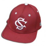 south-carolina-baseball-logo11-150x150