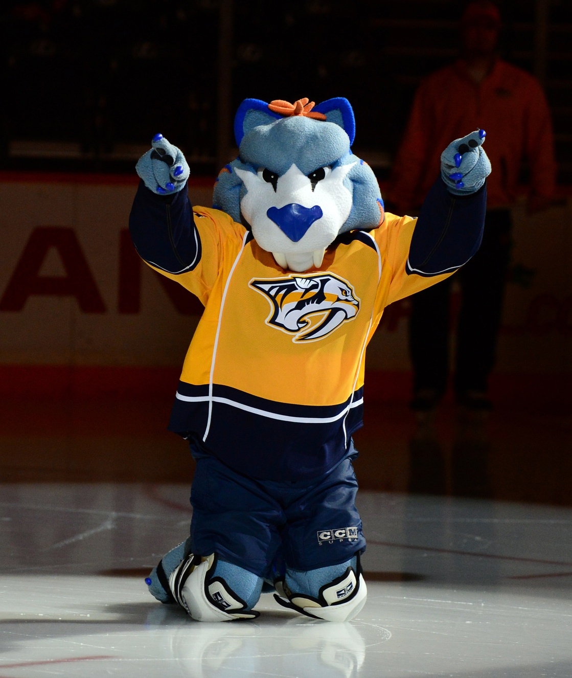 Predators mascot lands on the IR