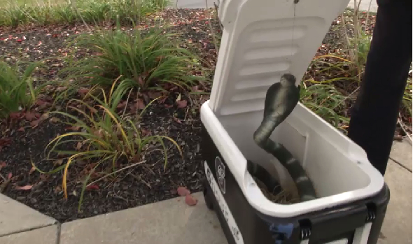 Philadelphia Flyers prank their players with a fake snake